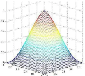 Figure 2   The surface passing through (0.5,0.5,1) with minimum curvature. 
