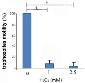 Fig 3. Effect of H 2 O 2 on E. histolytica motility. The motility of control and oxidatively stressed E