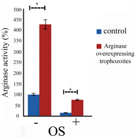 Fig 5. Overexpression of arginase confers resistance to OS. Arginase activity was measured in crude lysates that were prepared from control and arginase-overexpressing E