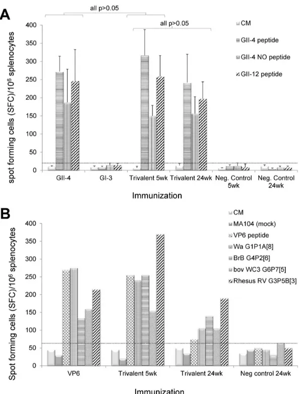 Figure 7.  NoV and RV-specific IFN-γ responses.  Splenocytes of mice immunized with the single NoV GII-4 or GI-3 VLPs or the trivalent combination vaccine were stimulated with synthetic NoV capsid-derived 15-mer peptides from different NoV genotypes and an