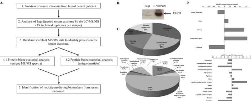 Fig 1. Isolation and characterization of serum exosomes derived from selected breast cancer patients