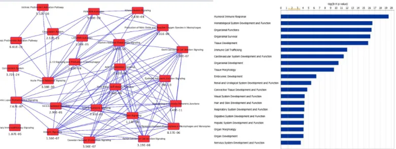 Fig 2. Pathway analysis of serum exosomes isolated from selected breast cancer patients derived from Ingenuity Pathway Analysis (IPA)