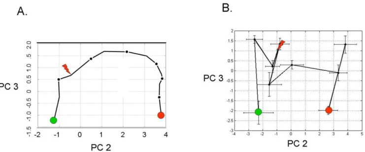 Figure 6A inset). Patient 17 grew Staphylococcus aureus from both urine and tracheal secretions prior to withdrawal of therapy for cure (the only death in the study)