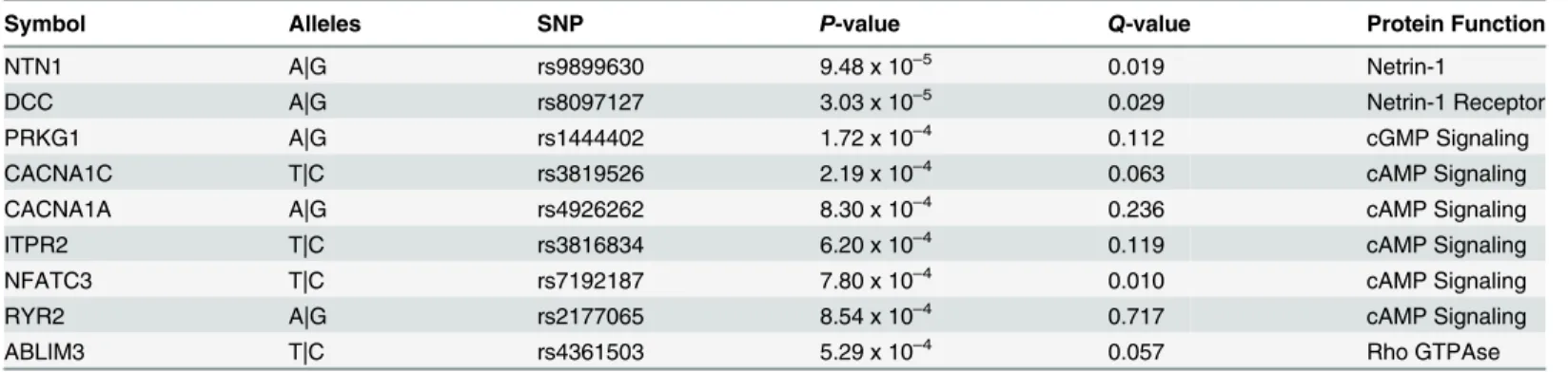 Table 1. Advanced AMD-associated SNPs in genes encoding Netrin-1 related proteins.
