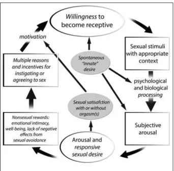 Figure 4 illustrates the sexual response cycle. It clearly  shows the responsiveness of desire which is seen during  sexual experience as well as variability of the initial  (spon-taneous) desire