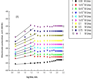 Fig. 10. SEM micrographs of steel electrode surfaces  immersed for a period of 2 h in 0.5M citric acid +  0.1M NaCl in presence of (A) 1Murea and (B) 1M 