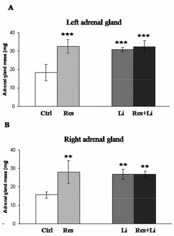 Figure 1. Changes in the adrenal gland mass induced by  chronic-stress and lithium treatment in male Wistar rats
