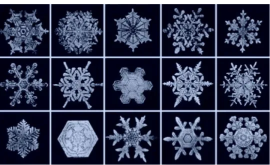 Figura 7 – Flocos de neve  
