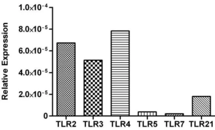 Figure 1. Relative gene expression of TLR transcripts in chicken thrombocytes. Gene expression of TLRs 2, 3, 4, 5, 7 and 21 transcripts in un-stimulated chicken thrombocytes relative to the house-keeping gene b-actin.