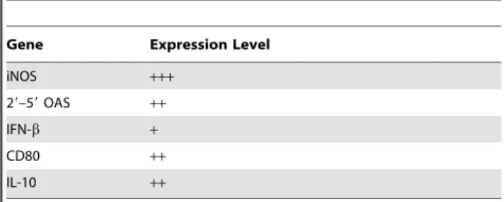 Figure 2. Relative gene expression of pro- and anti-inflammatory cytokines. Relative gene expression of the pro-inflammatory cytokines IL- IL-1b, IL-6 and IL-8, and the anti-inflammatory cytokine TGF-b in chicken thrombocytes at 1, 3, 8 and 18 hours post-t