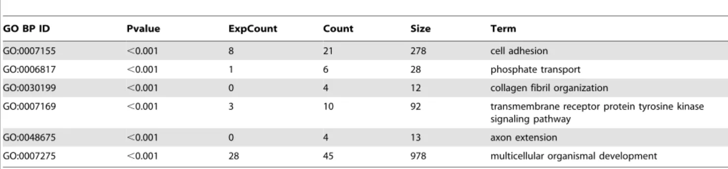 Table 3. Top six GO terms in biological processes (BP) overrepresented amongst genes with altered expression in endogenous SRA knockdown versus control 3T3-L1 adipocytes.