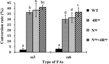 Fig 3. Effect of codon optimization of PinD6 on fatty acid conversion rate in transgenic yeast cells
