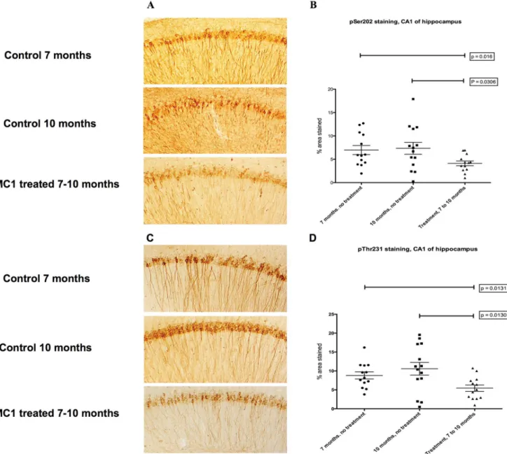 Figure 4. Representative CP13 and RZ3 immunohistochemistry of immunized P301L mice, 7 to 10 months of age