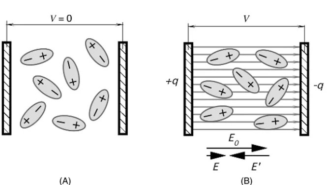 Fig. 3.6. Polarization of dielectric: (A) dipoles randomly oriented without an external electric field; (B) dipoles aligned with an electric field.