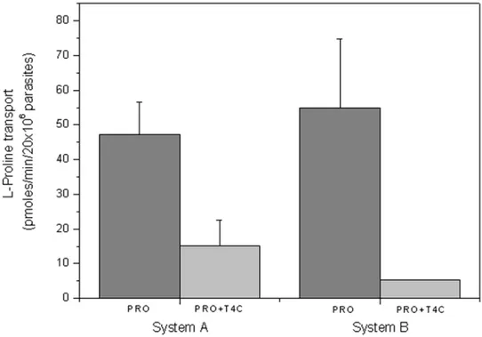 Figure 5. The effect of 0.5 mM T4C on L-proline uptake in epimastigotes of T. cruzi . Proline transport was measured at proline concentrations corresponding to the Km values for system A (0.31 mM) and system B (1.36 mM).