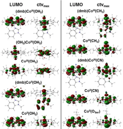 Fig 7. Molecular orbitals in Cbl model structures from DFT. LUMO, lowest unoccupied MO