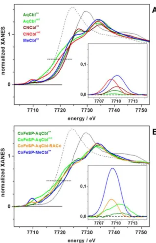 Fig 3. Cobalt XANES spectra. (A) Indicated Cbl solution samples, (B) CoFeSP-Cbl samples