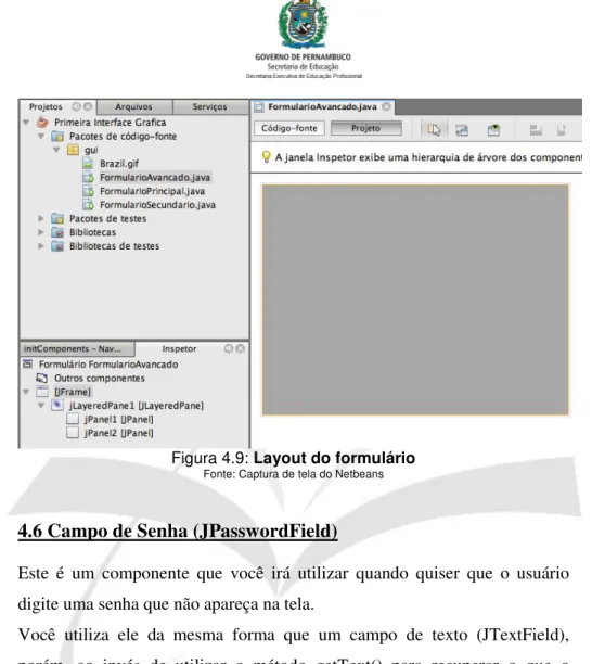 Figura 4.9: Layout do formulário 