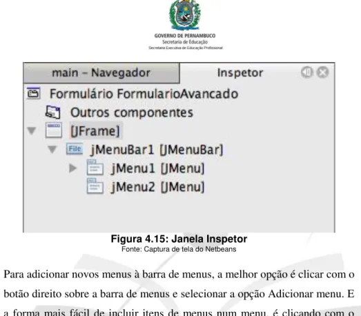Figura 4.15: Janela Inspetor 