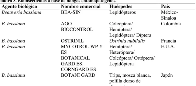 Cuadro 3. Bioinsecticidas a base de hongos entomopatógenos. 