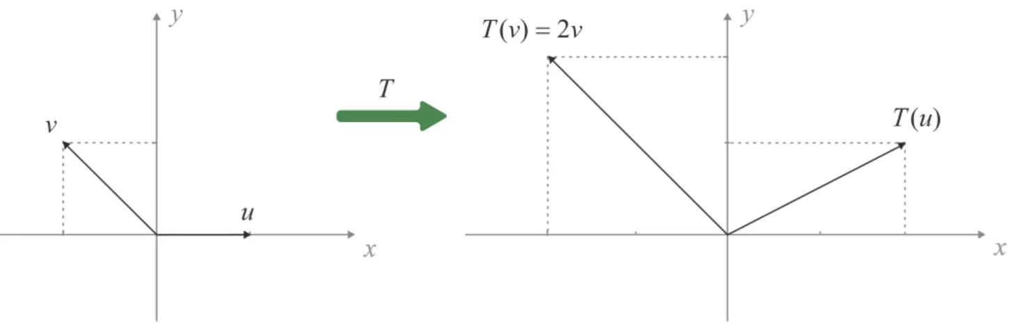 Figura 2.1 - Efeito de um operador linear