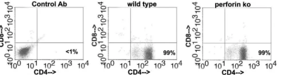 Figure 3. Chlamydia -specific polyclonal T cell populations derived from immune mice are 99% CD4 + CD8 2 after three passages with UV-inactivated C