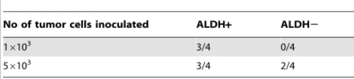Table 1. Tumour incidence of LLC ALDH+ and ALDH2 cells three weeks after cell injection