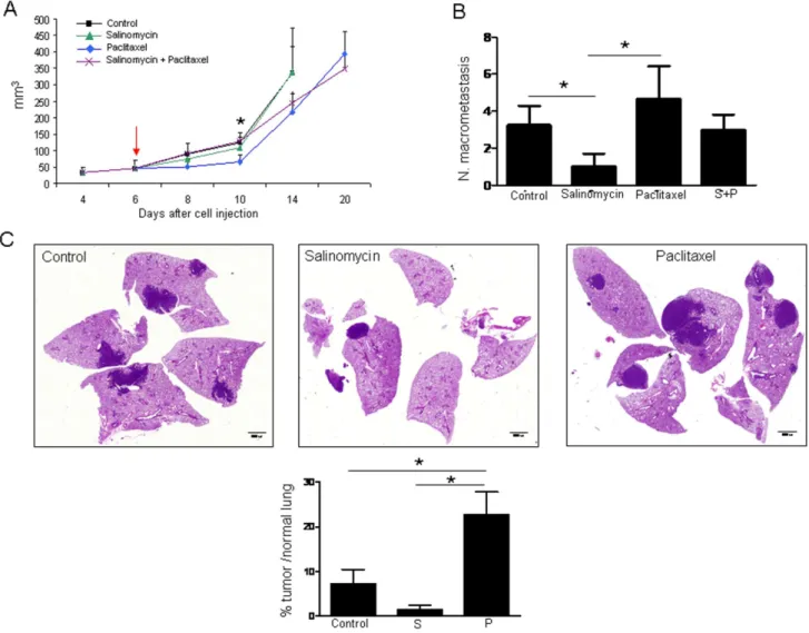 Figure 3. Effect of salinomycin and paclitaxel on primary tumor growth and lung metastasis development