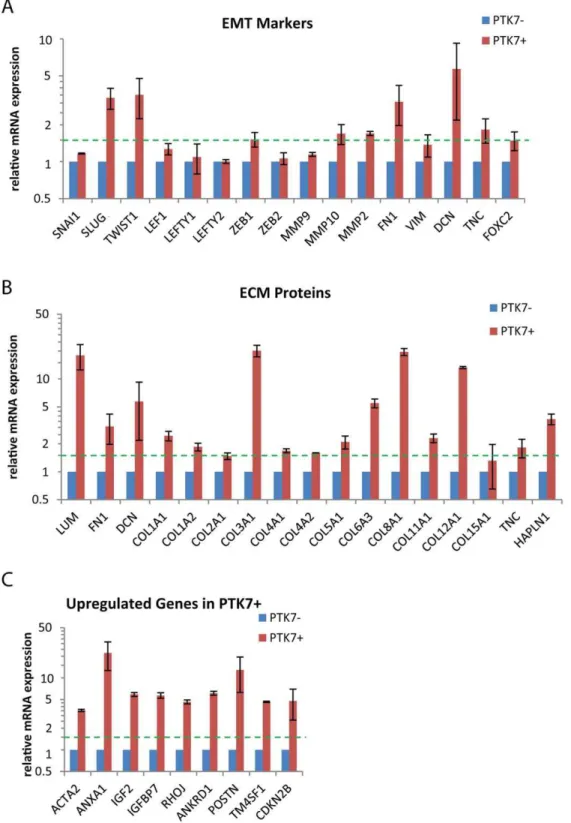 Figure 4. EMT marker and ECM protein analysis on undifferentiated hPSC, PTK72, PTK7+ and DE populations