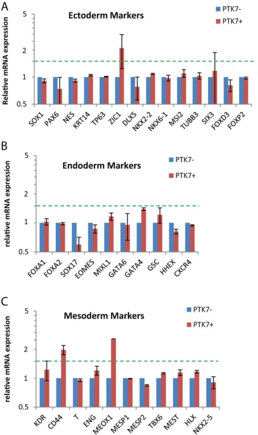 Figure 5. Lineage marker analysis on PTK72 and PTK7+ populations. Feeder-free H9 and XFiPSC2 (differentiated for 2 days) were sorted into PTK7+ and PTK72 populations