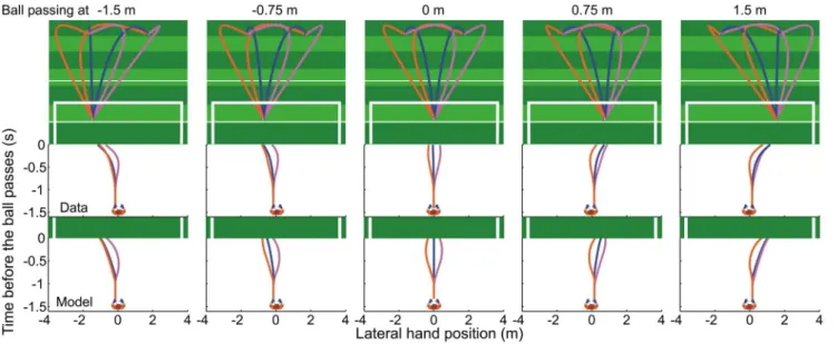 Figure 3. Initial erroneous movements in goalkeeping. For each participant (including experts) this figure shows the lateral hand position as a function of the time before the ball passes the goal line for the single most extreme initial erroneous movement