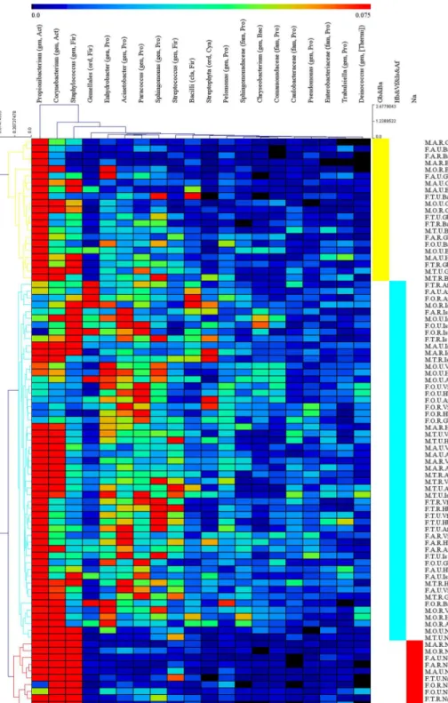 Fig 5. Hierarchical-clustering heat-map of the relative abundance of the 20 most abundant bacterial genera