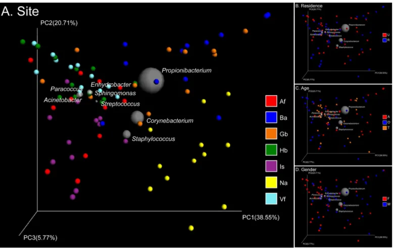 Fig 1. PCoA analysis of 84 pooled groups based on weighted UniFrac distances. Clustering of study subjects using principal coordinates analysis (PCoA) based on weighted UniFrac distances