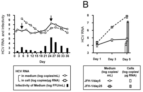 Figure 2. Effects of cell culture-adapted mutations on virus propagation. (A) One million cells were transfected with 2 mg of in vitro- vitro-transcribed RNA from JFH-1/wt, JFH-1/T416N, JFH-1/K1122R, JFH-1/L2525F and JFH-1/3mut
