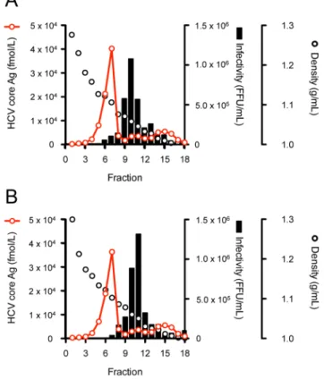 Figure 9. Iodixanol density gradient analysis of JFH-1/2G and JFH-1/6B. Huh7.5.1 cells were transfected with full-length RNAs of  JFH-1/2G and JFH-1/6B