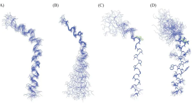 Figure 5. Inter side-chain interactions and disposition of the a4 CT helical structure