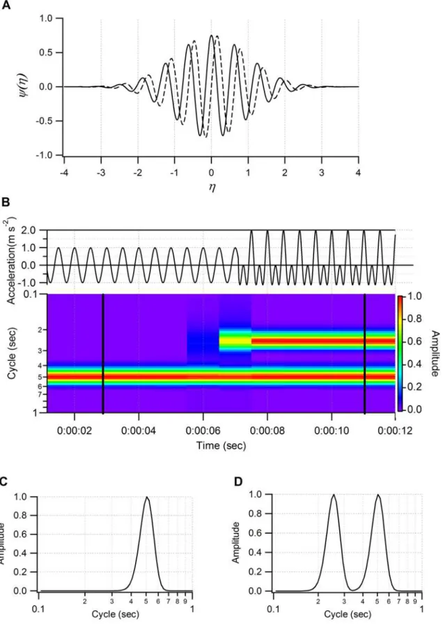 Figure 3. Schematic diagram of continuous wavelet transformation. (A) Morlet mother wavelet for v 0 = 10