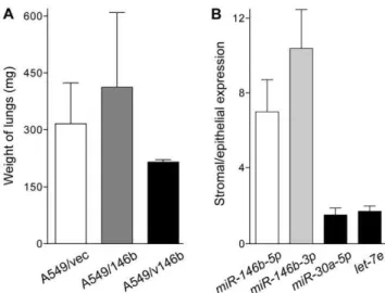 Figure 4. Lung colony formation by the A549-derived cell-lines, and miR-146b expressions in tumor stroma and epithelia