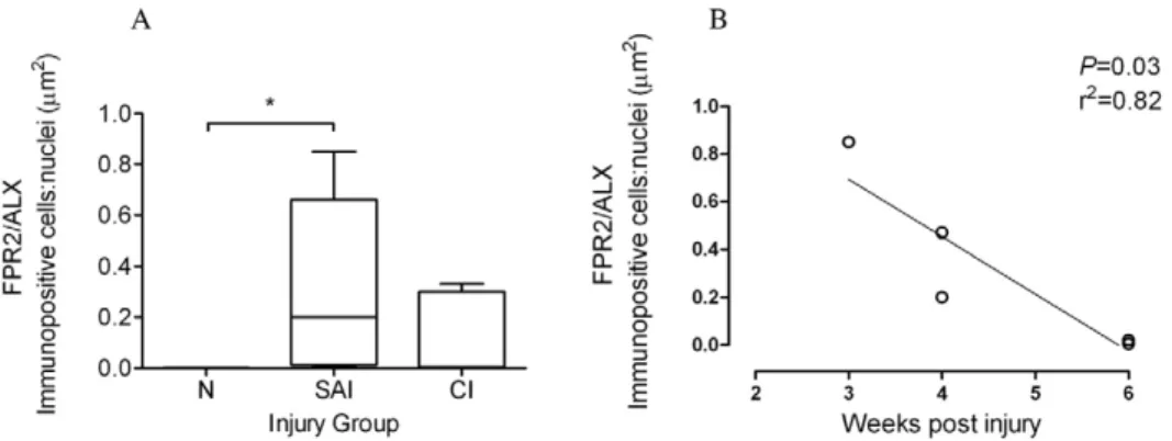 Figure 8. FPR2/ALX expression in normal and injured equine tendons. (A) Box plot illustrating ratio of areas (mm 2 ) of immunopositive cells: