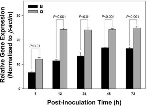 Figure 2. Acquisition of TYLCV by B. tabaci B and Q biotypes. Relative gene expressions of TYLCV in B
