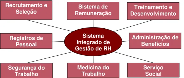 FIGURA 8 - Sistema integrado de gestão de recursos  Fonte: WOOD JR e PICARELLI FILHO (2004) 