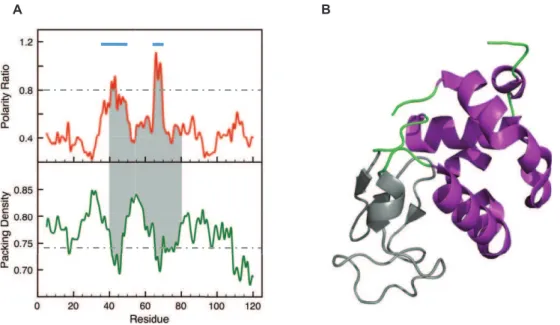 Figure 4. LIPs and the unfolded regions of the equilibrium (and kinetic) intermediate of Indole-3-glycerol phosphate synthase