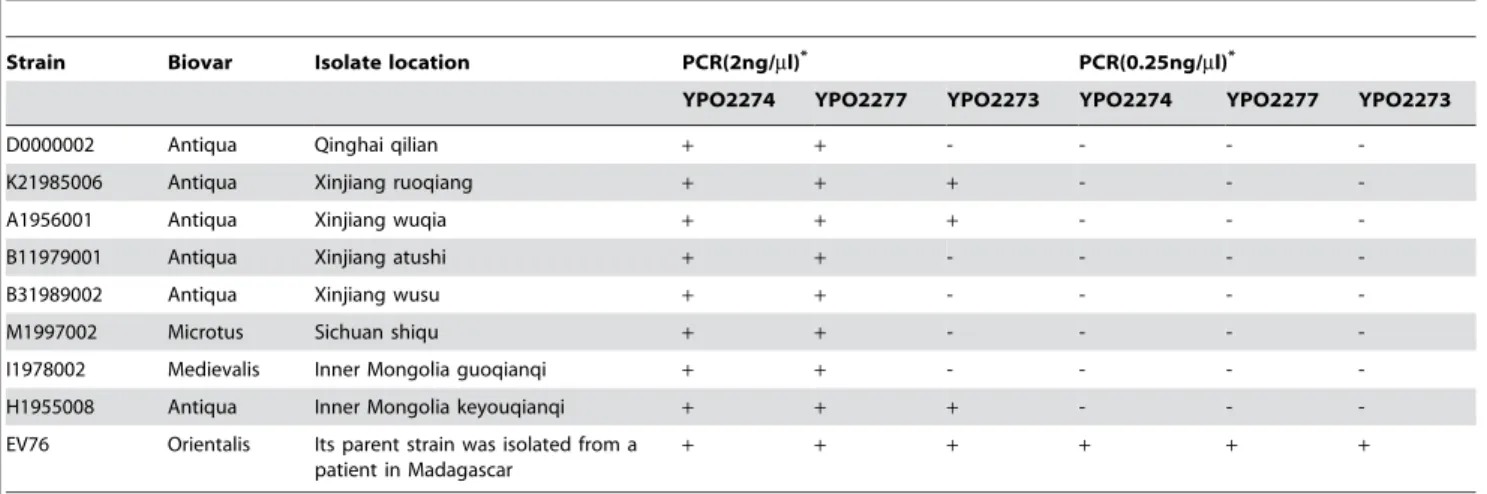 Table 4. Non-Orientalis strains amplified with DFR13 identification primers