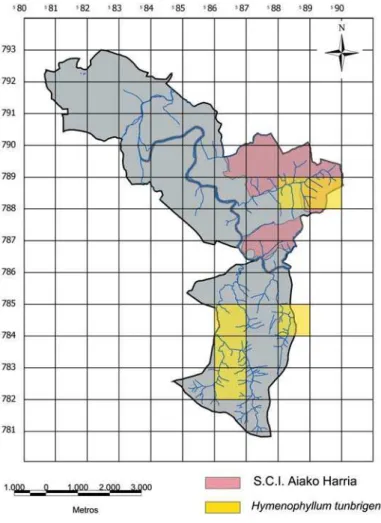 Fig. 5.- Map displaying the new subpopulations of H. tunbringense found in Hernani municipality