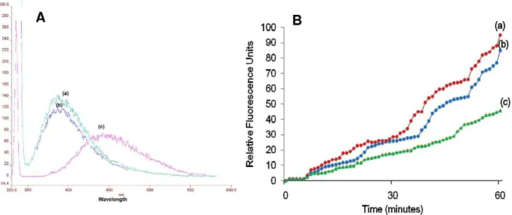 Figure 6. NPN uptake assay. A) Fluorescence spectrum of 10 mM 1-NPN excited at the wavelength of 340 nm (a) 1-NPN + cryptdin-2 (8 mg/L) (b) 1- NPN+EDTA, both at a concentration of 10 mM (c)) 1-NPN alone B) Increase in relative fluorescence units of10 mM 1-