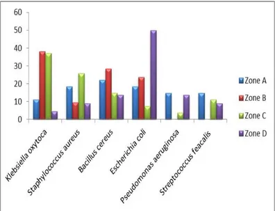 Figure 2: Percentage occurrence of bacteria by zones  This  study  has  revealed  that  groundnut  cake  is  rich  in  carbohydrate  (55.15%),  moisture  and  proteins  (12.65%  and  12.60% respectively), lipid (15.40%) and ash (3.45%) whereas  it is poor 