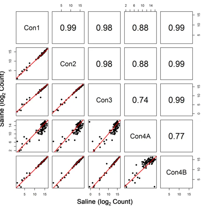 Fig 1. Comparison of the Ribosomal Subunit Expression among Control Groups. Pearson correlation and scatterplot matrix of log2 normalized expression of the ribosomal subunit proteins in control groups, Con1-Con4B