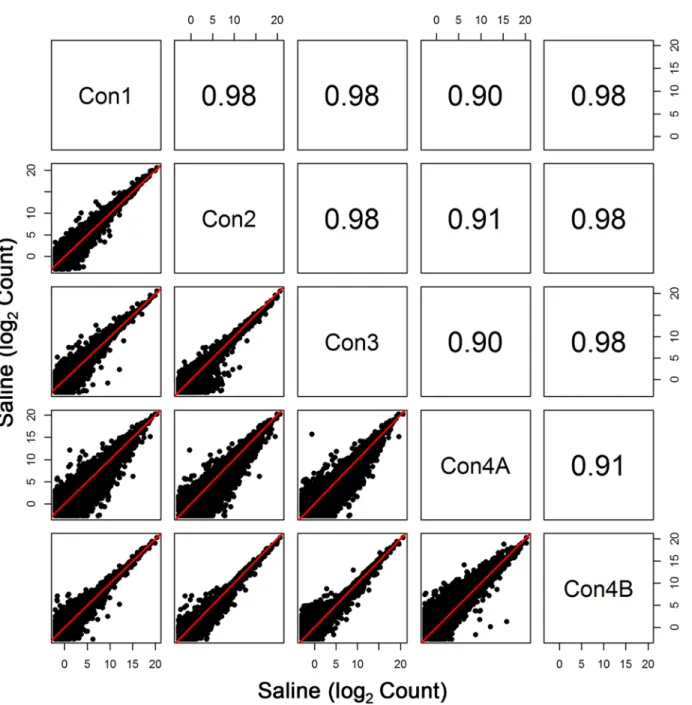 Fig 2. Comparison of All Transcripts among the Control Groups. Pearson correlation and scatterplot matrix of log2 normalized expression of all transcripts in control groups, Con1-Con4B