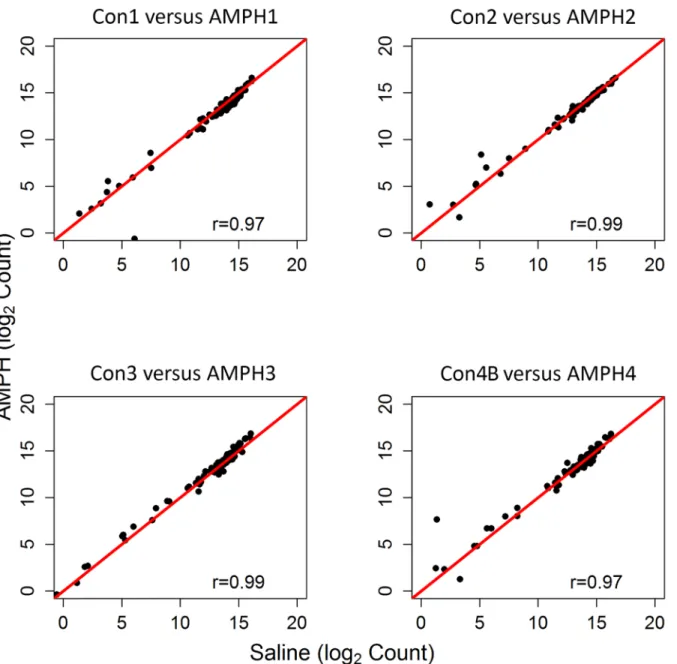 Fig 3. Expression of Ribosomal Subunits in the Control versus Amphetamine Groups. Pearson correlation and scatterplot matrix of log2 normalized expression of the ribosomal subunit proteins comparing each control group to its time-matched AMPH group