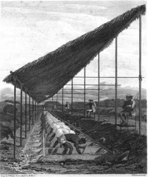 FIGURE 1 - Slave labor in the mining district. 